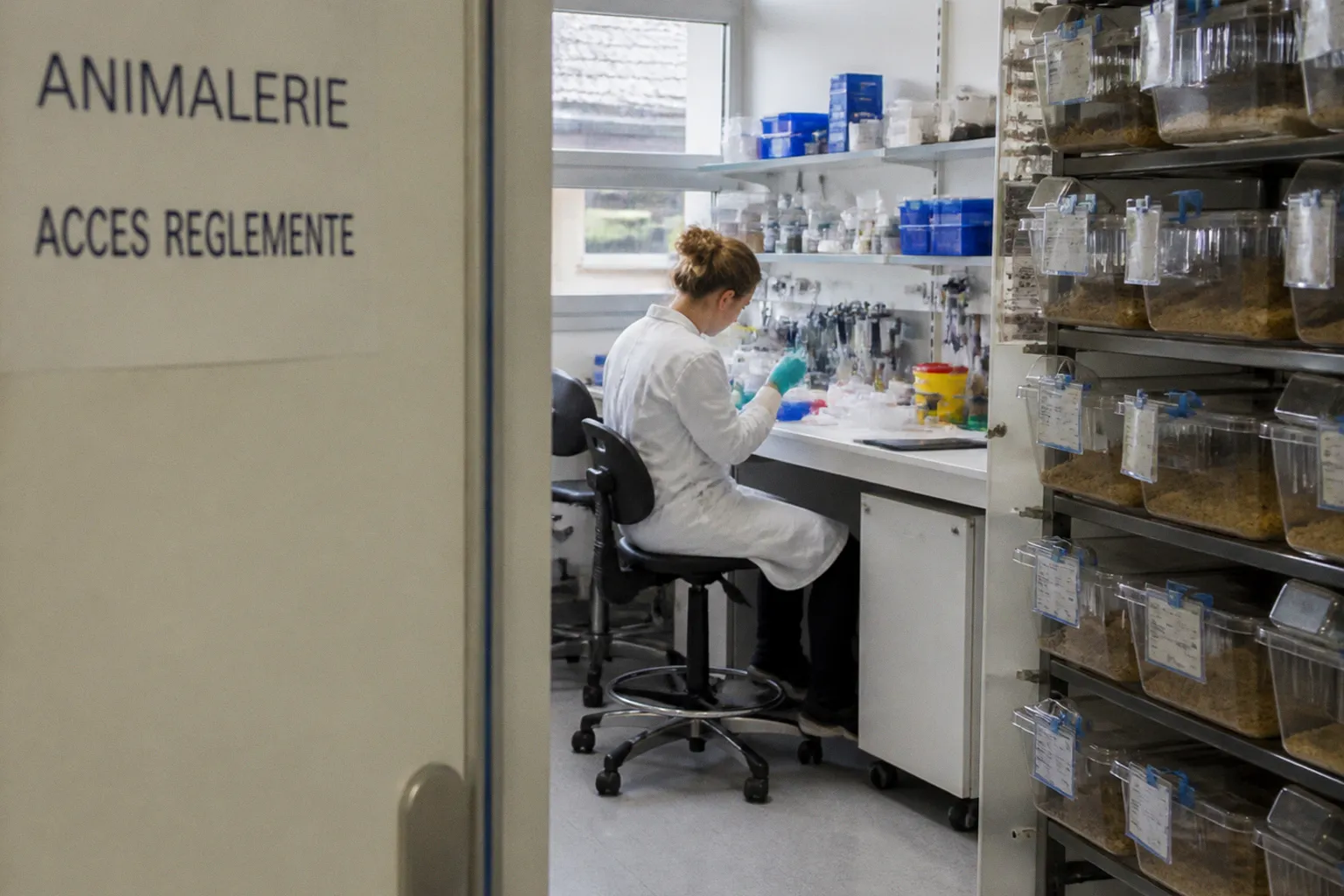 Douleurs neuropathiques : la piste prometteuse des anticancéreux